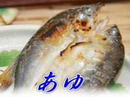 あゆ一夜干セット(冷凍)