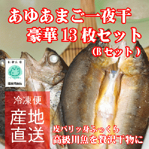 あゆとあまご一夜干し豪華13枚セット(Bセット)